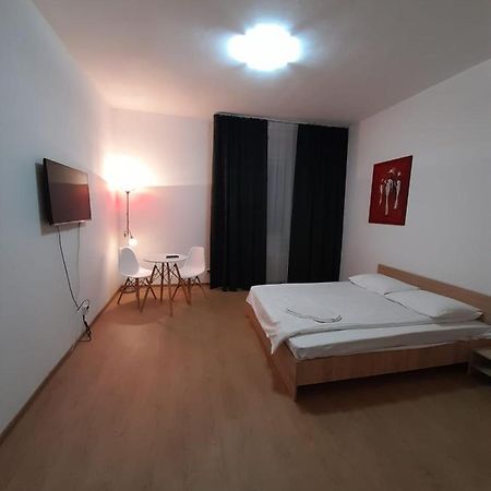 Piata Unirii- 1 Room Studio Apartment Тимишоара Экстерьер фото
