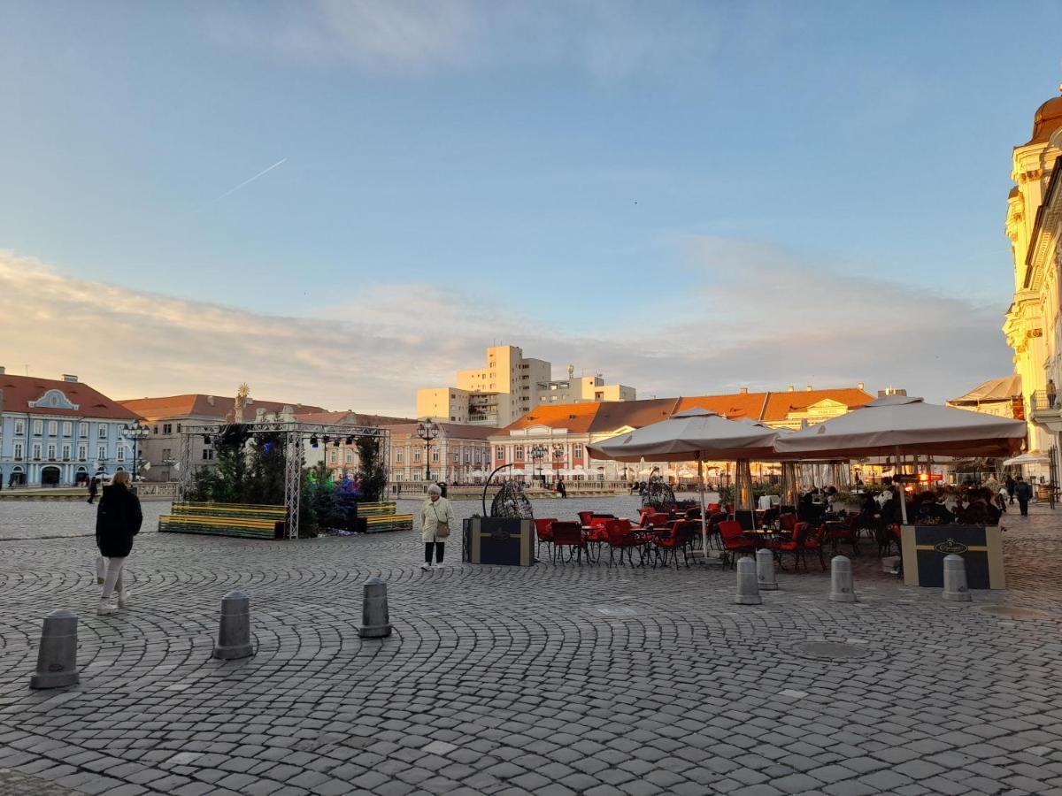 Piata Unirii- 1 Room Studio Apartment Тимишоара Экстерьер фото