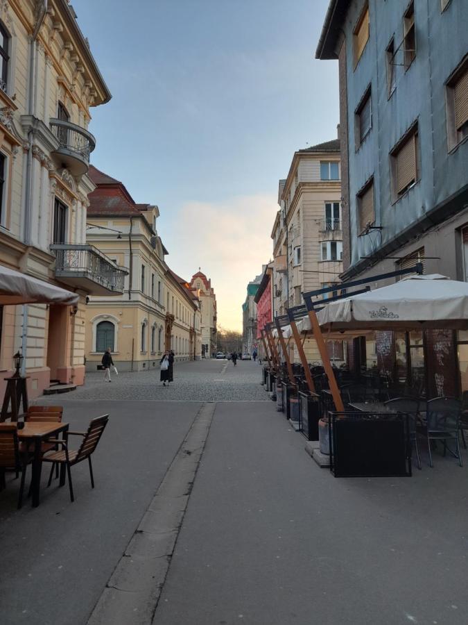 Piata Unirii- 1 Room Studio Apartment Тимишоара Экстерьер фото
