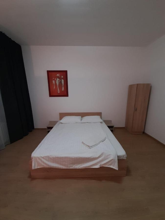 Piata Unirii- 1 Room Studio Apartment Тимишоара Экстерьер фото